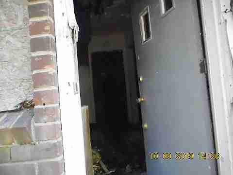 13021 Kelly (9)_m.jpg